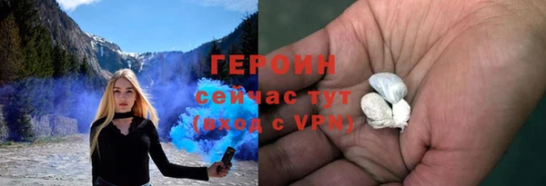гидра Вязьма