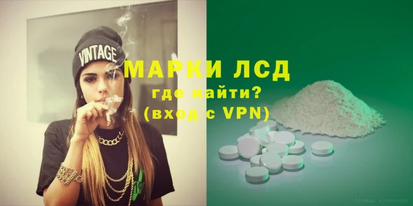 гидра Вязьма