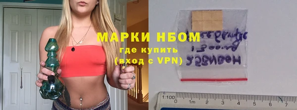 гидра Вязьма