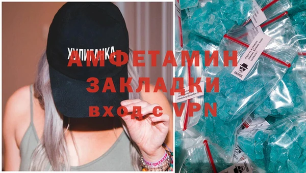 гидра Вязьма