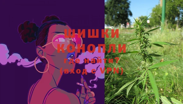 гидра Вязьма