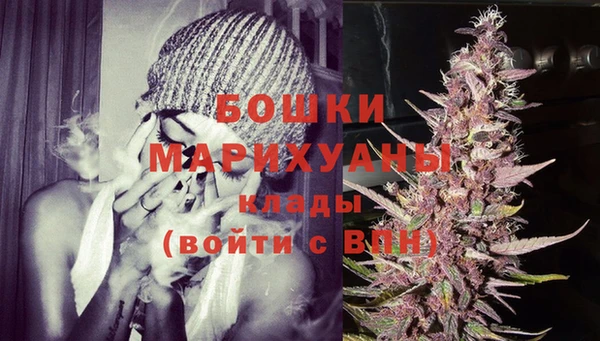 гидра Вязьма